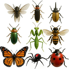 🔥 Nature‘s Trick Advent Calendar 2025